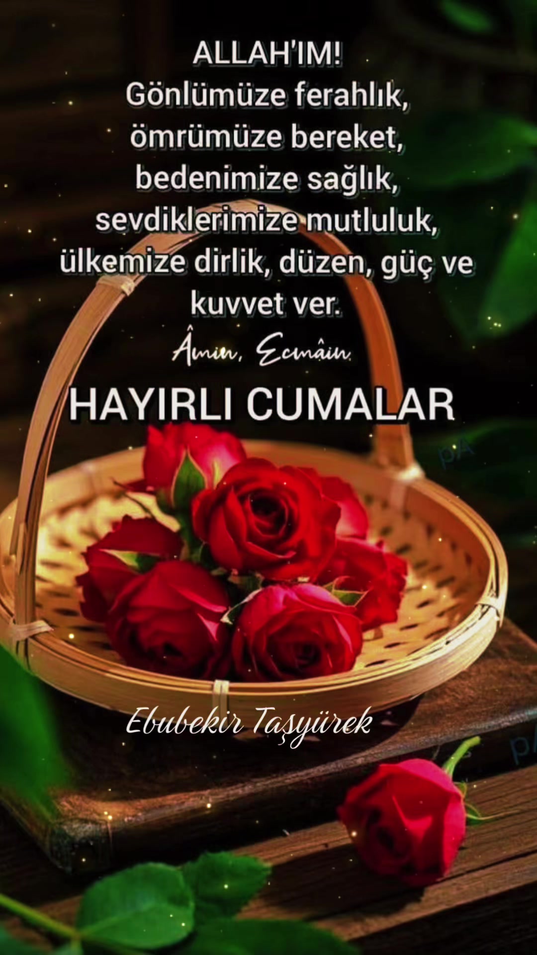 @hasan_hakan_bayraktar