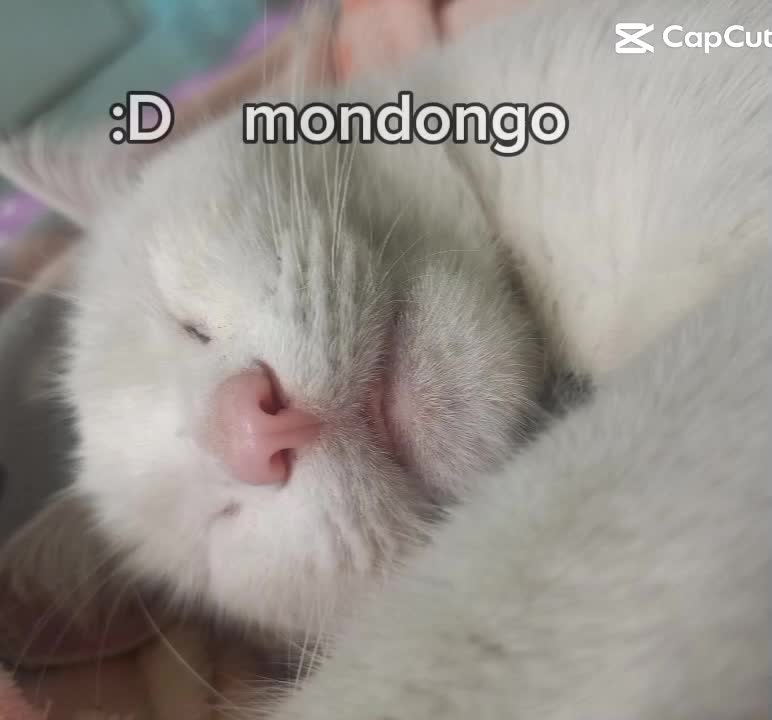 @Tifany A