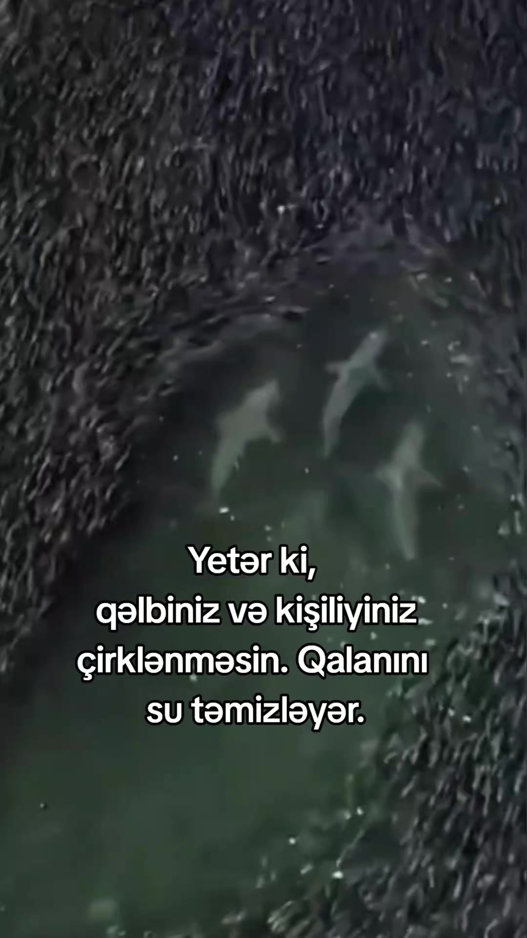 @𝗠𝗲𝗹𝗶𝗸𝗼𝘄𝘀 ⚡️