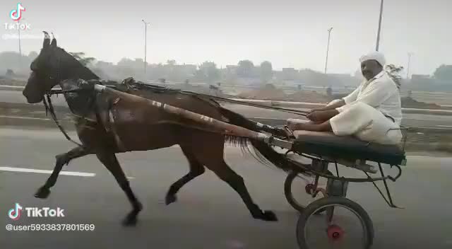 @muhammdwaqasMayo