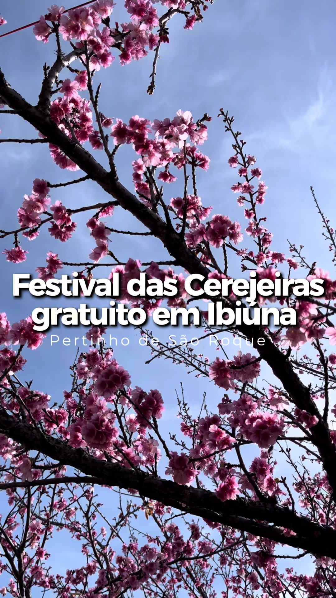 @Portal São Roque 🍁 Dicas