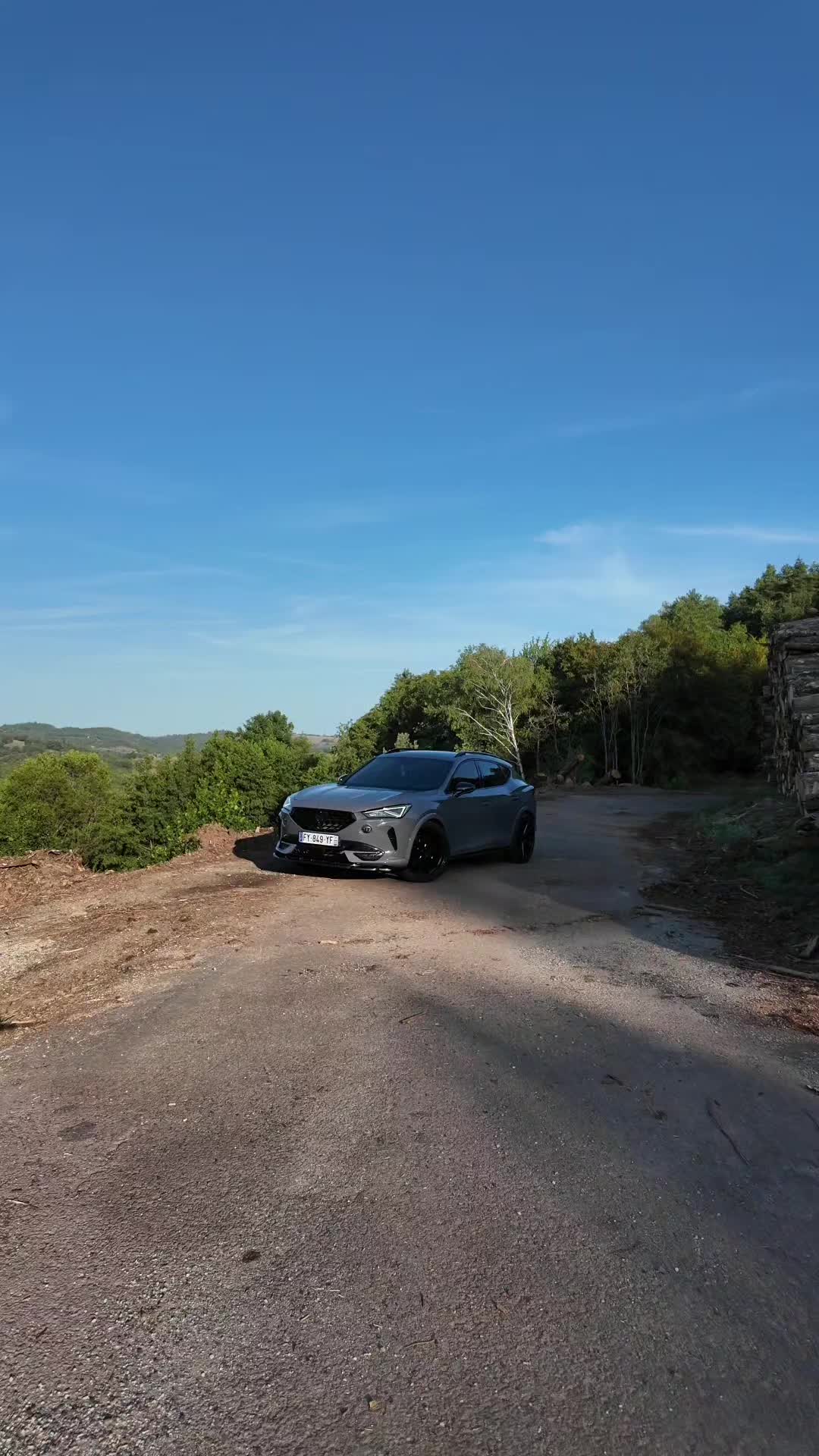 @LionCuprAFormentor