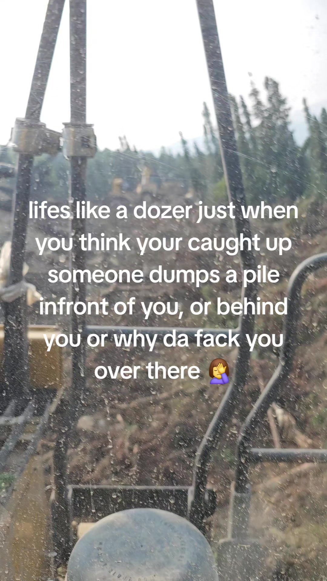 @tink68🇨🇦
