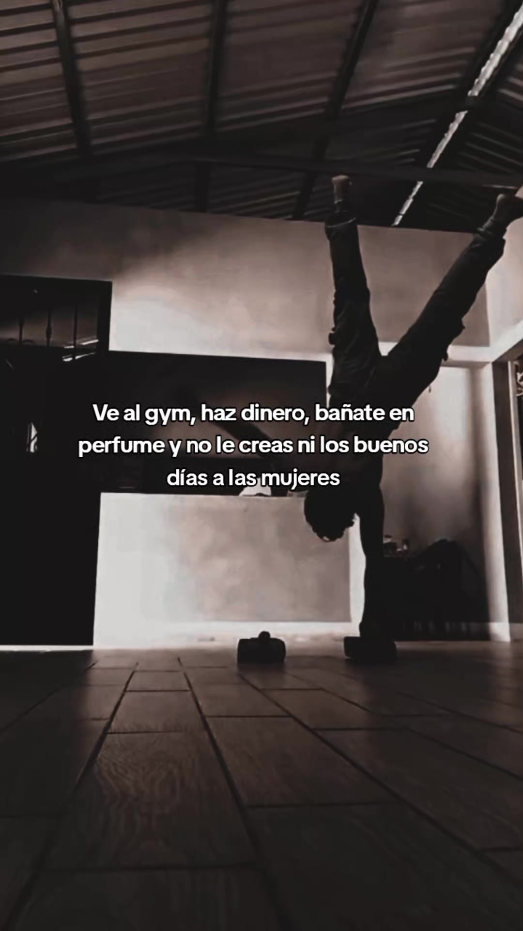 @Leo Fitness 🔱 ⁹⁹⁹