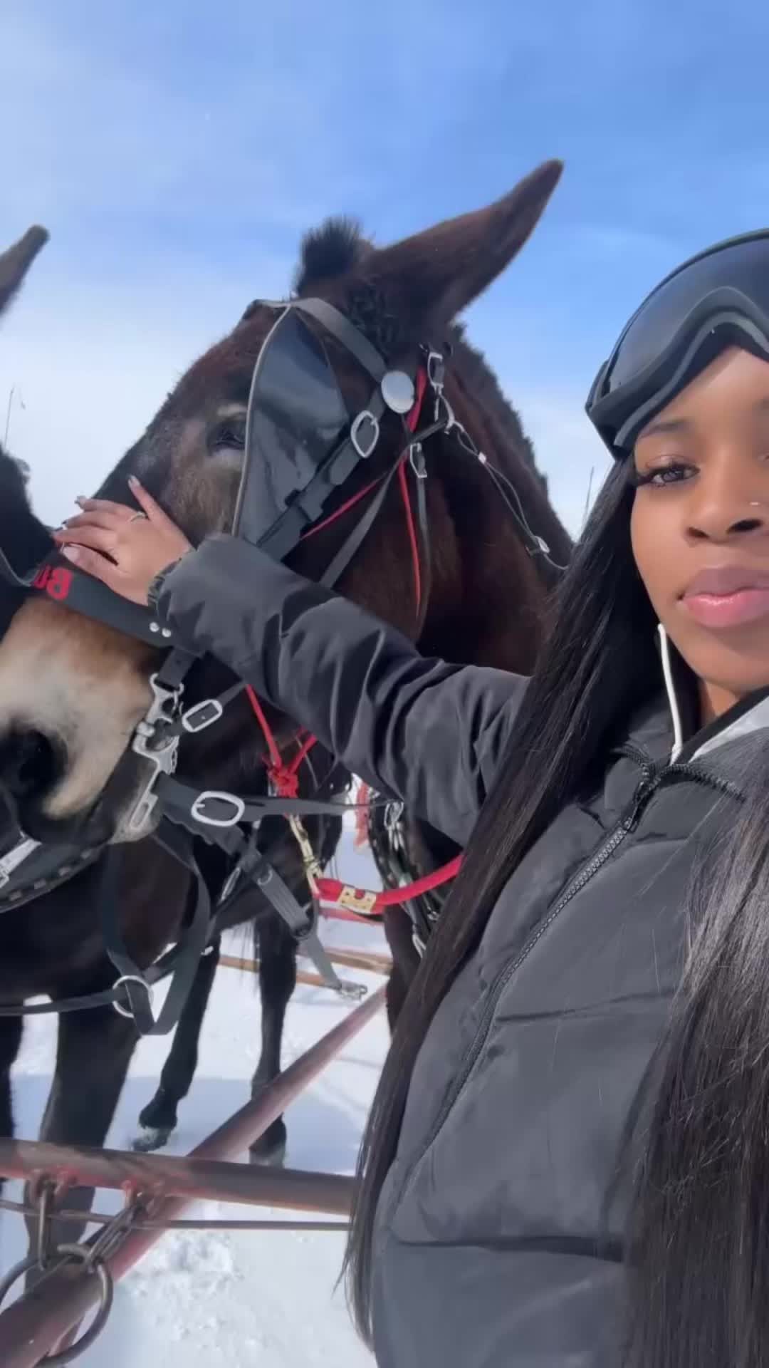 @its.nisiii