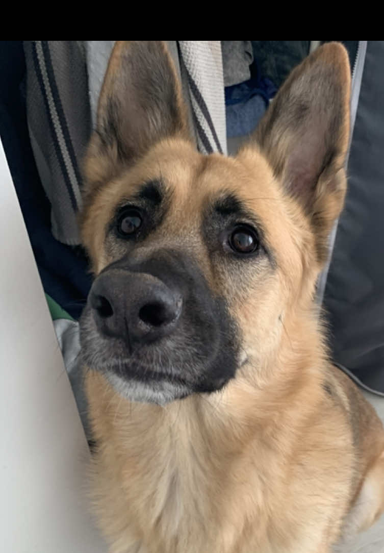@ꨄ 𝓢𝓀𝓎🐾