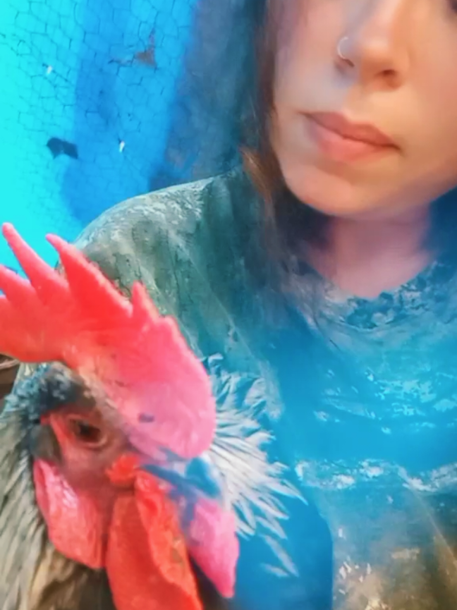 @J🌼i🌼L🌼L