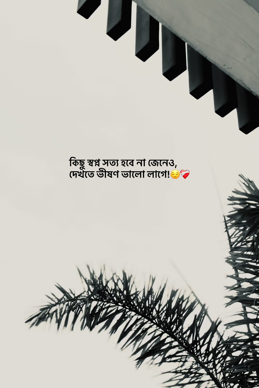 @आईएएन ┊🐥
