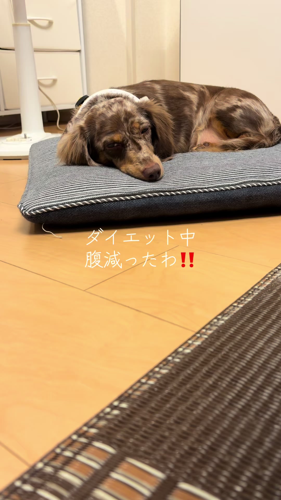 @ケン