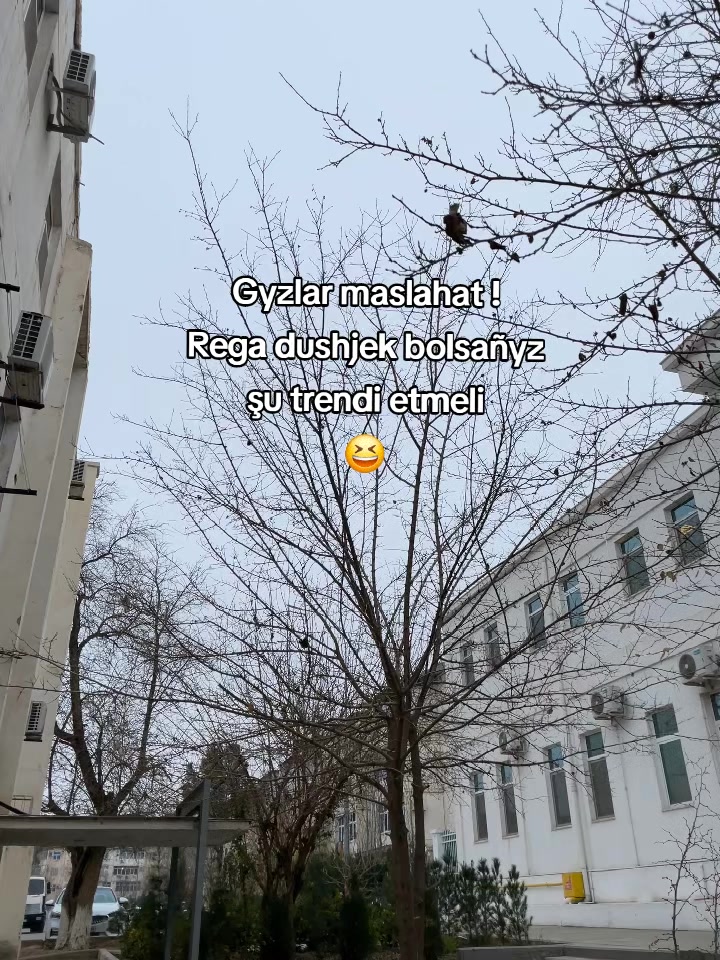 @𝙢𝙯𝙛𝙠_𝘼𝙩𝙖𝙝𝙖𝙣𖣂︎