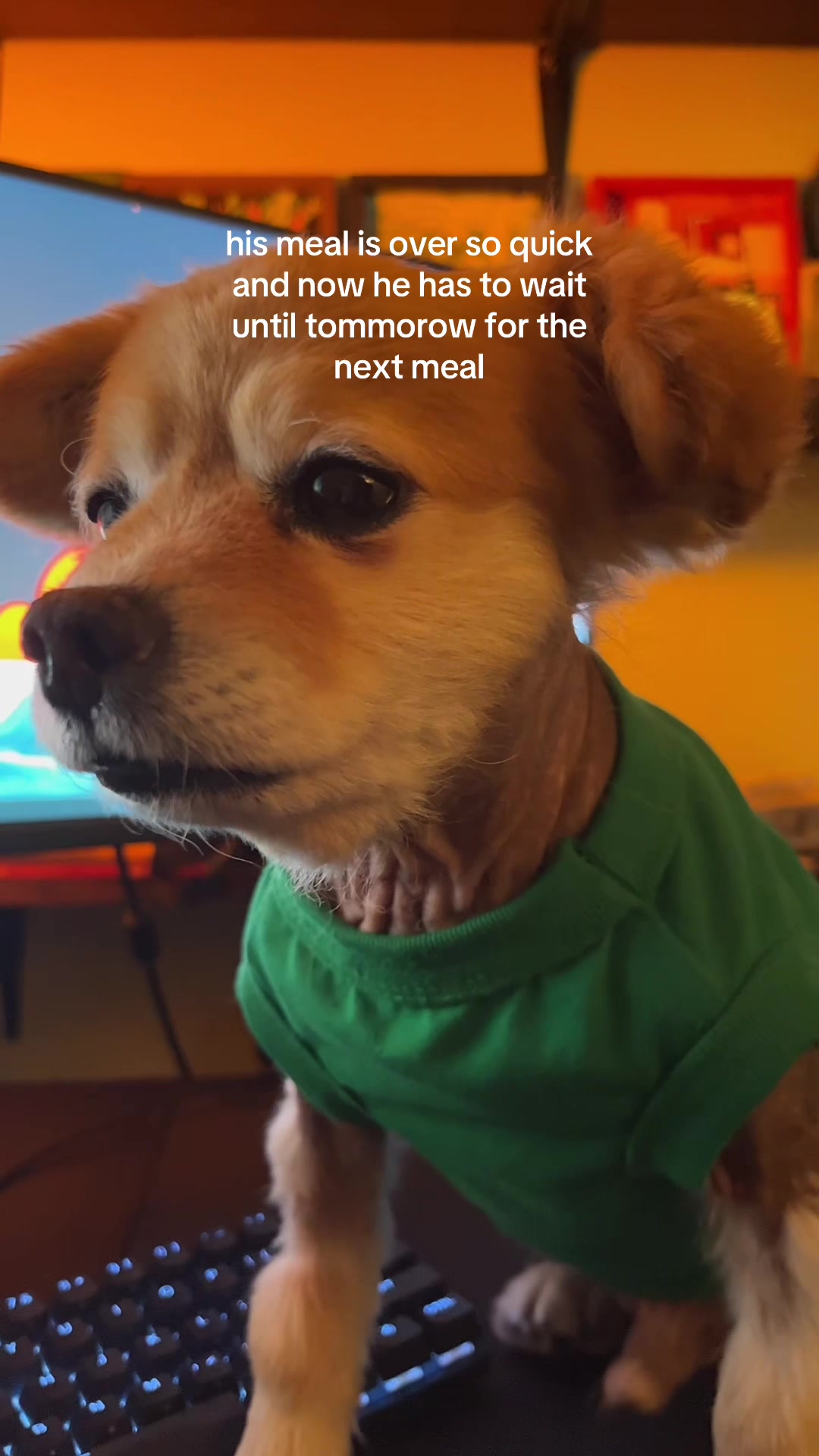 @kingpep