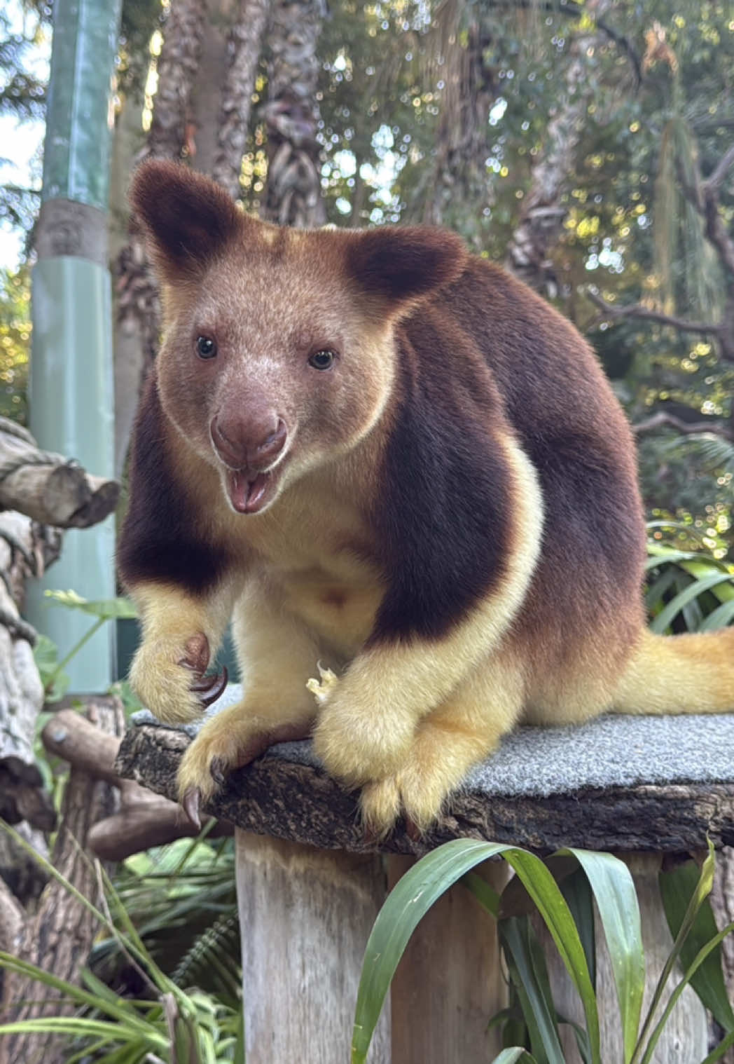 @Perth Zoo