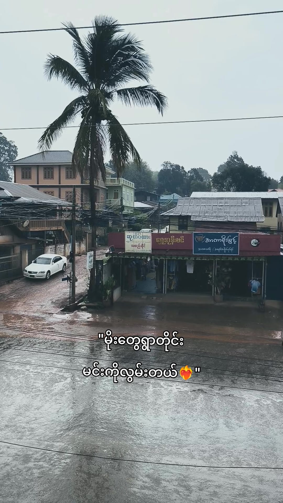 @🫧🐾