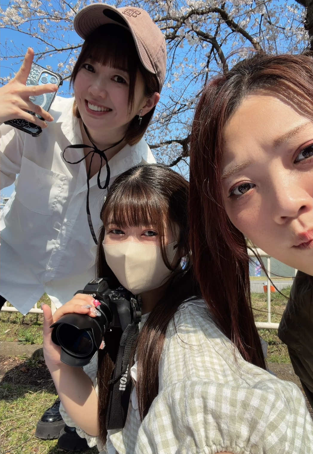 @女子独身倶楽部