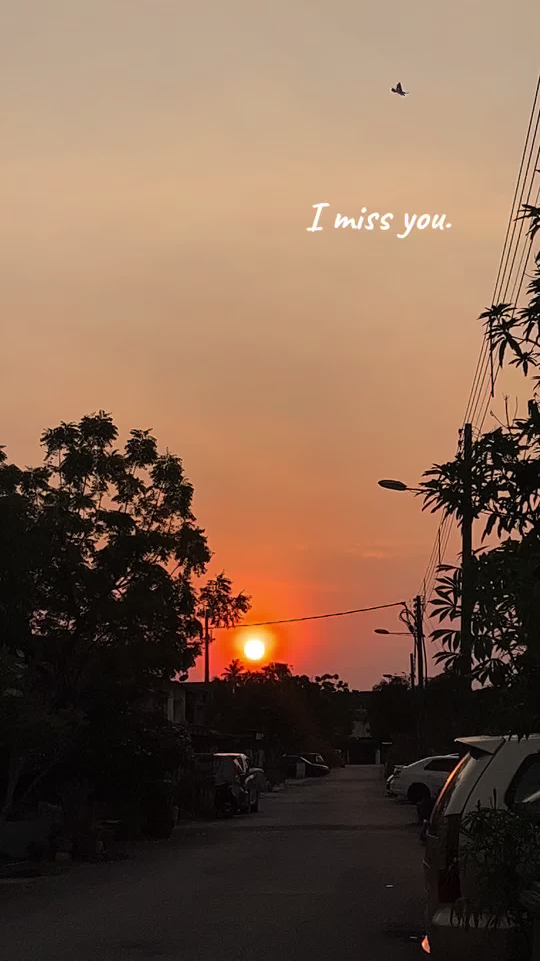 @Nesh 🌙