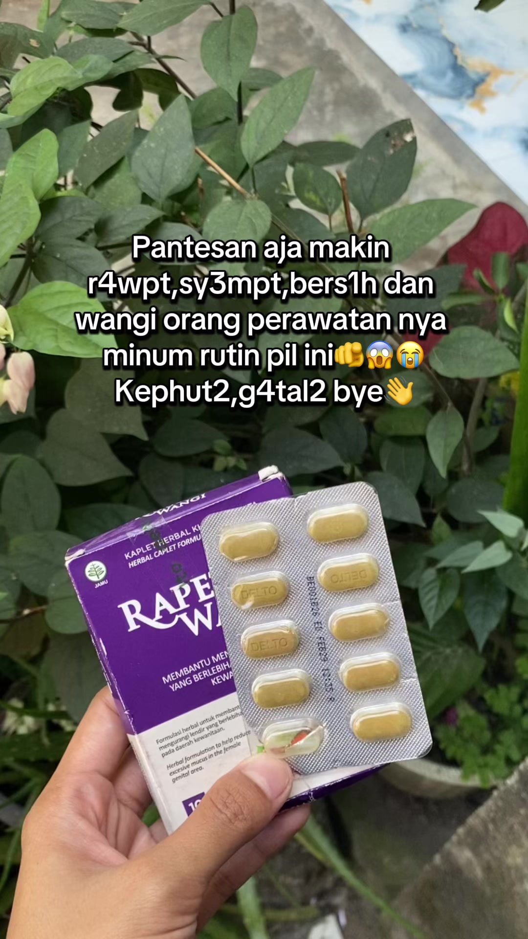 @fifi