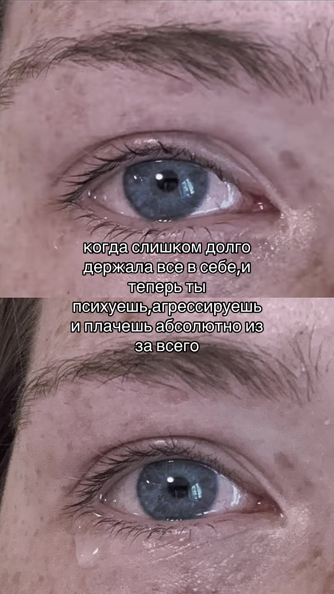 @🪷Дашка🦢