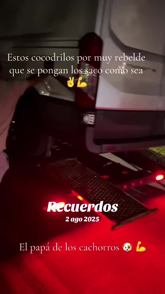 @✌️El papá de los cachorros 🐶