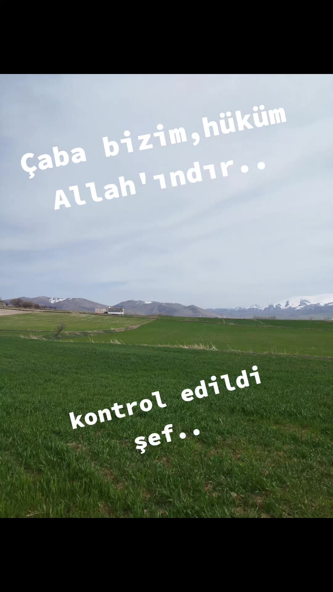 @Alican Dalgıç