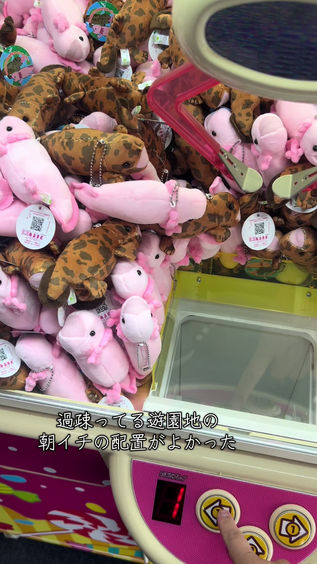 @小栗まきの