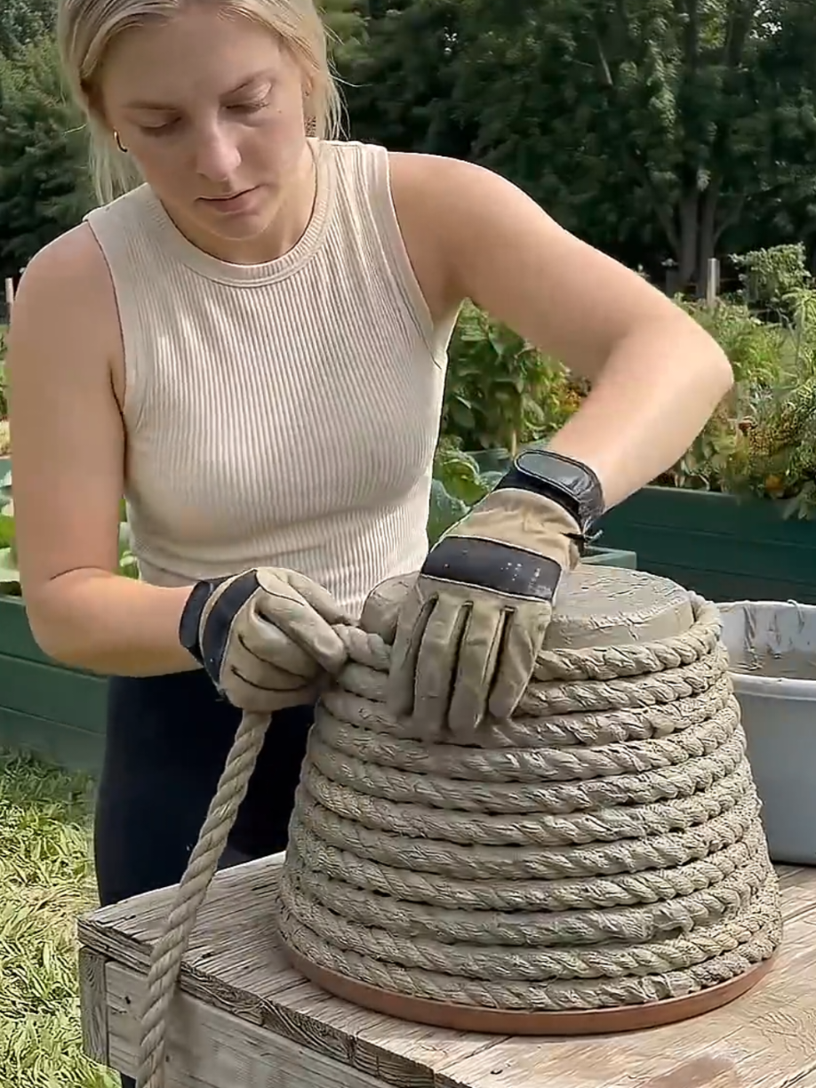 @PlantsLife
