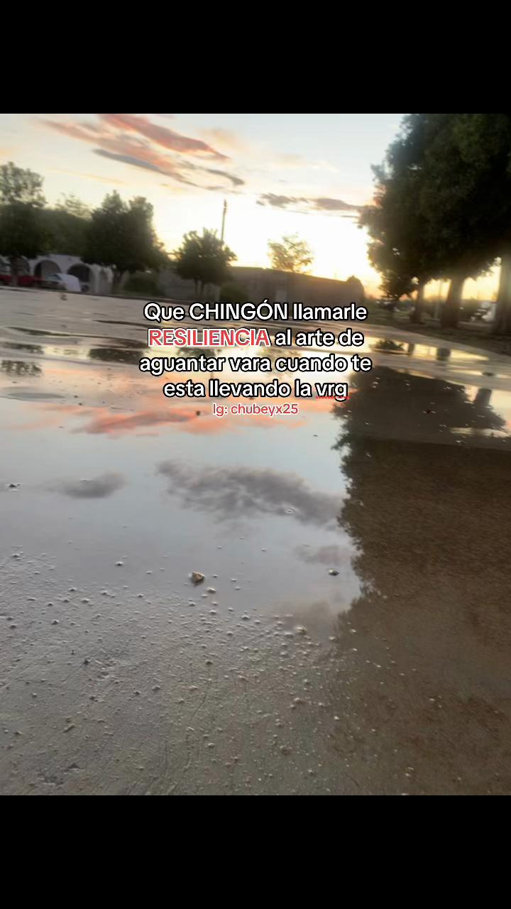 @chubeyx25