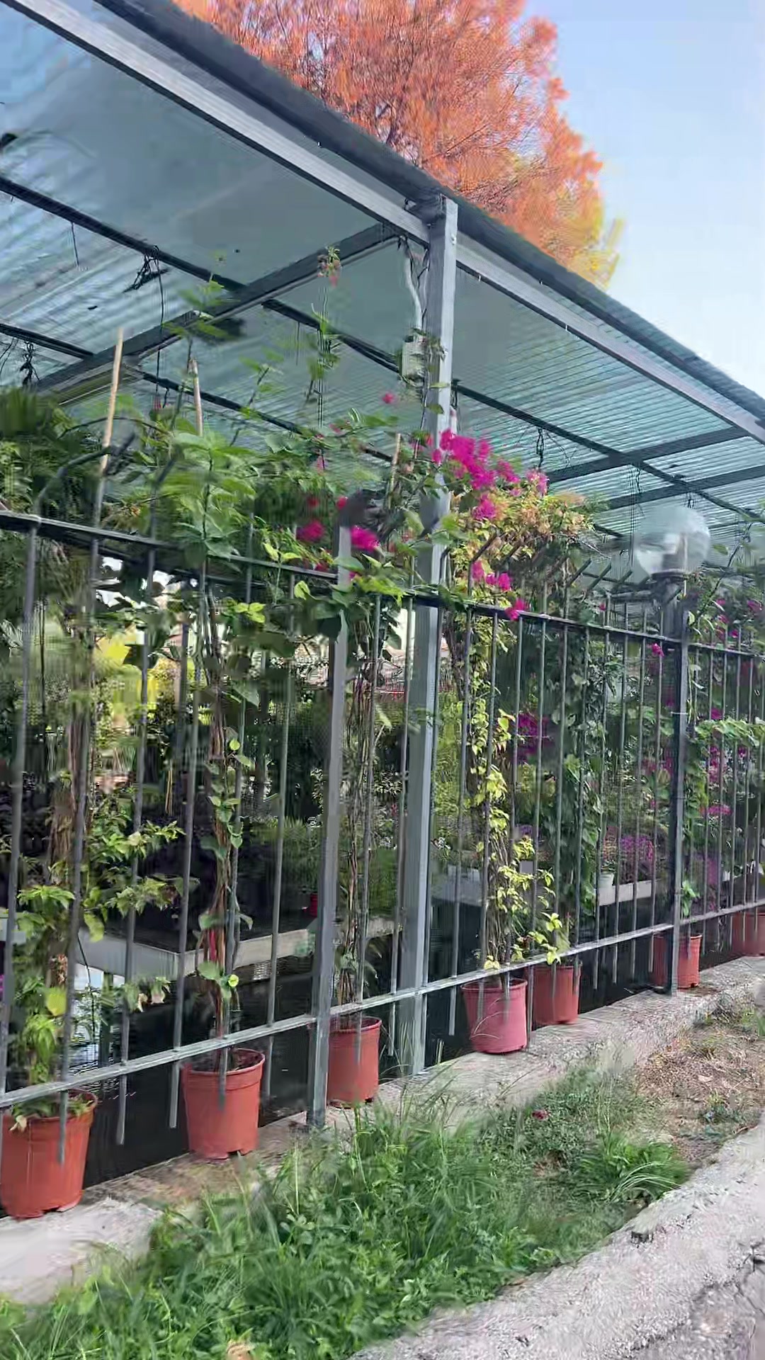 @vivaioanticogarden