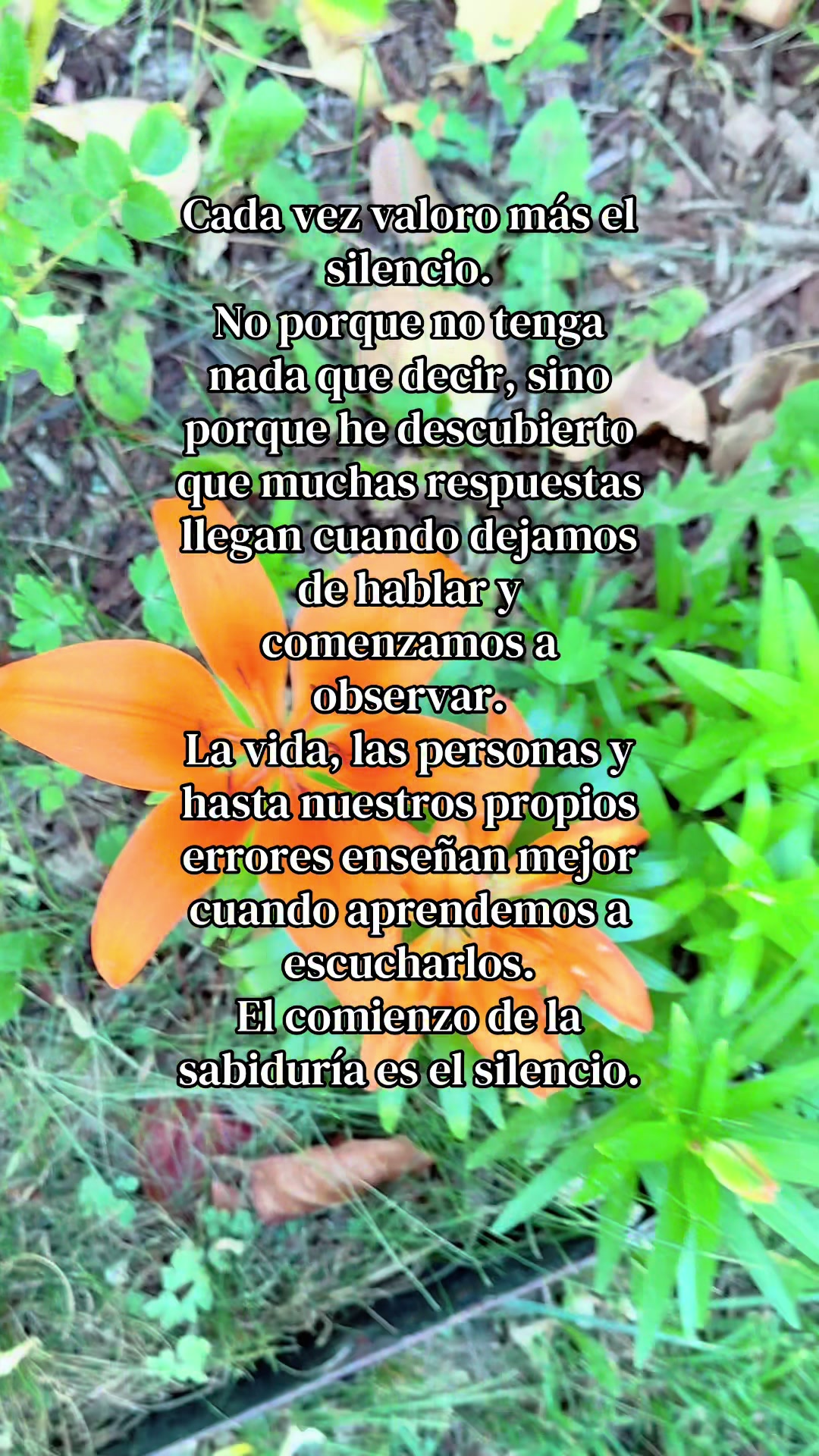 @🍑Iveth ✅☮️💥
