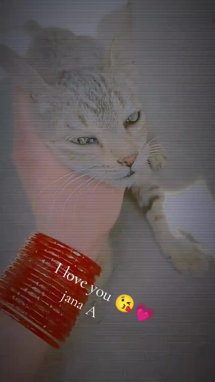 @Queen 👑💕