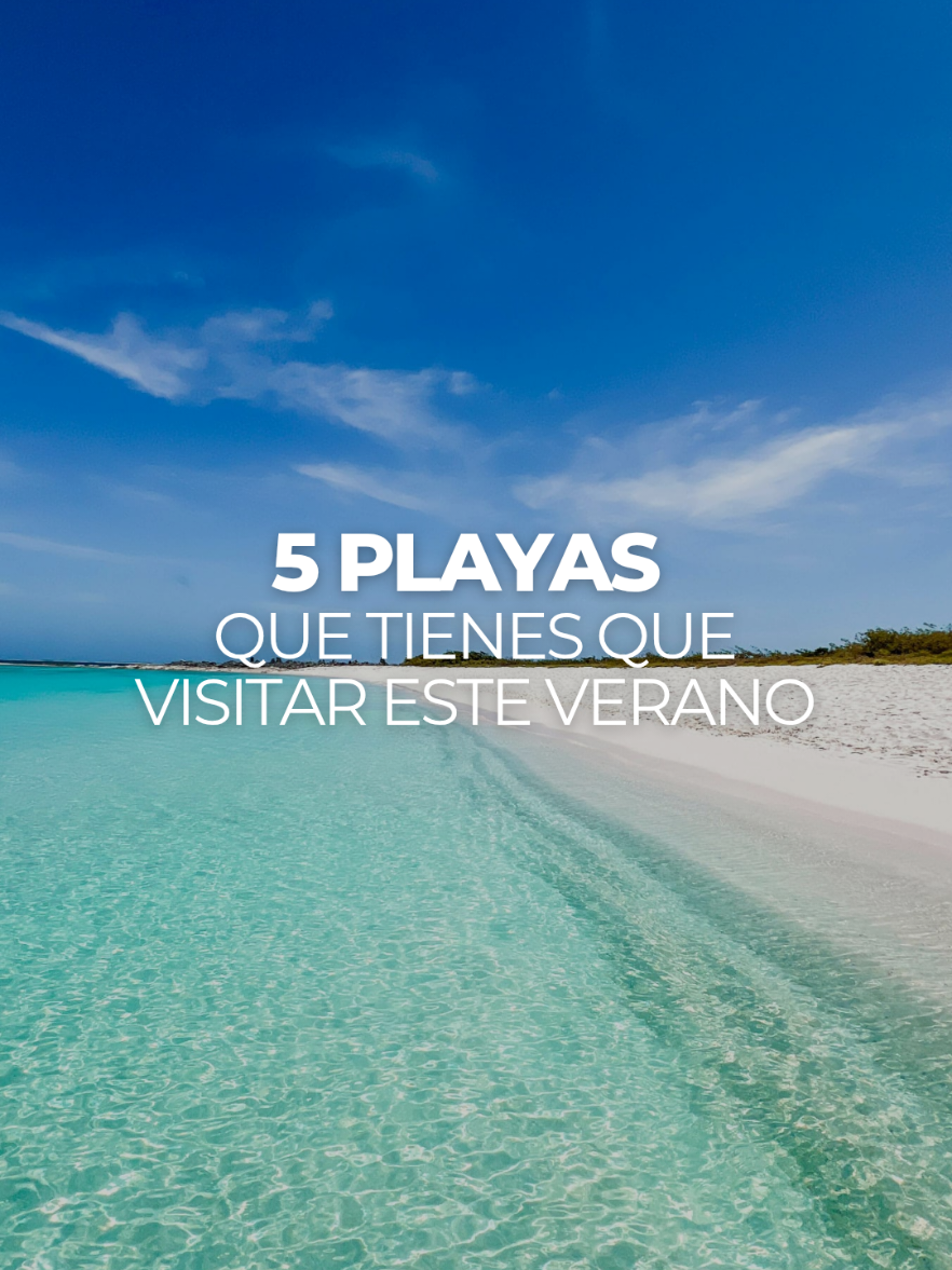 @México Traveler
