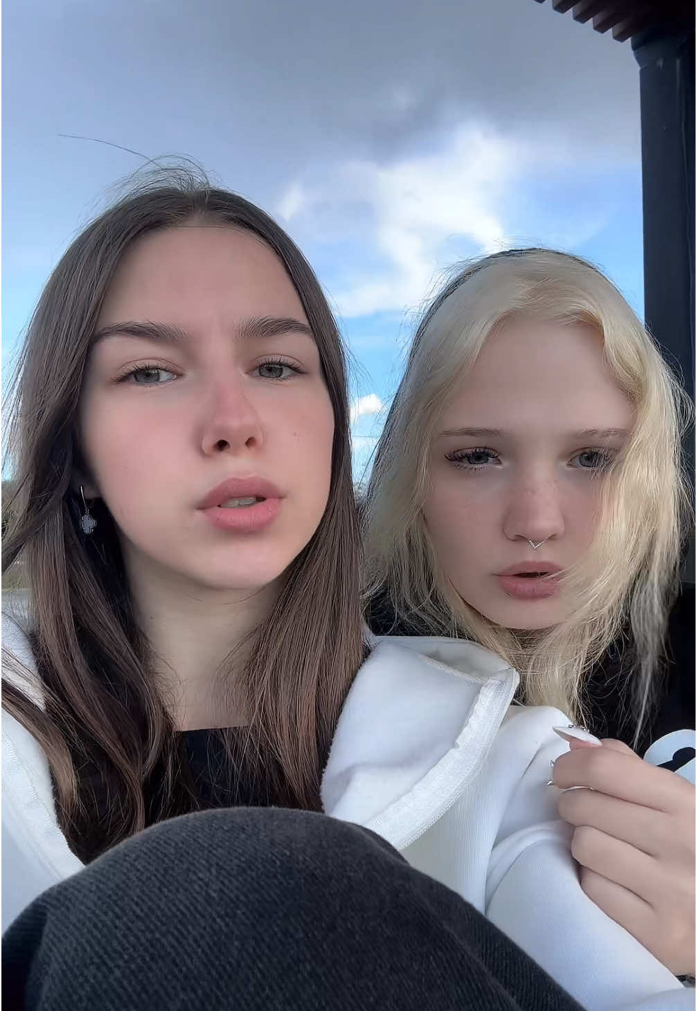 @aysn