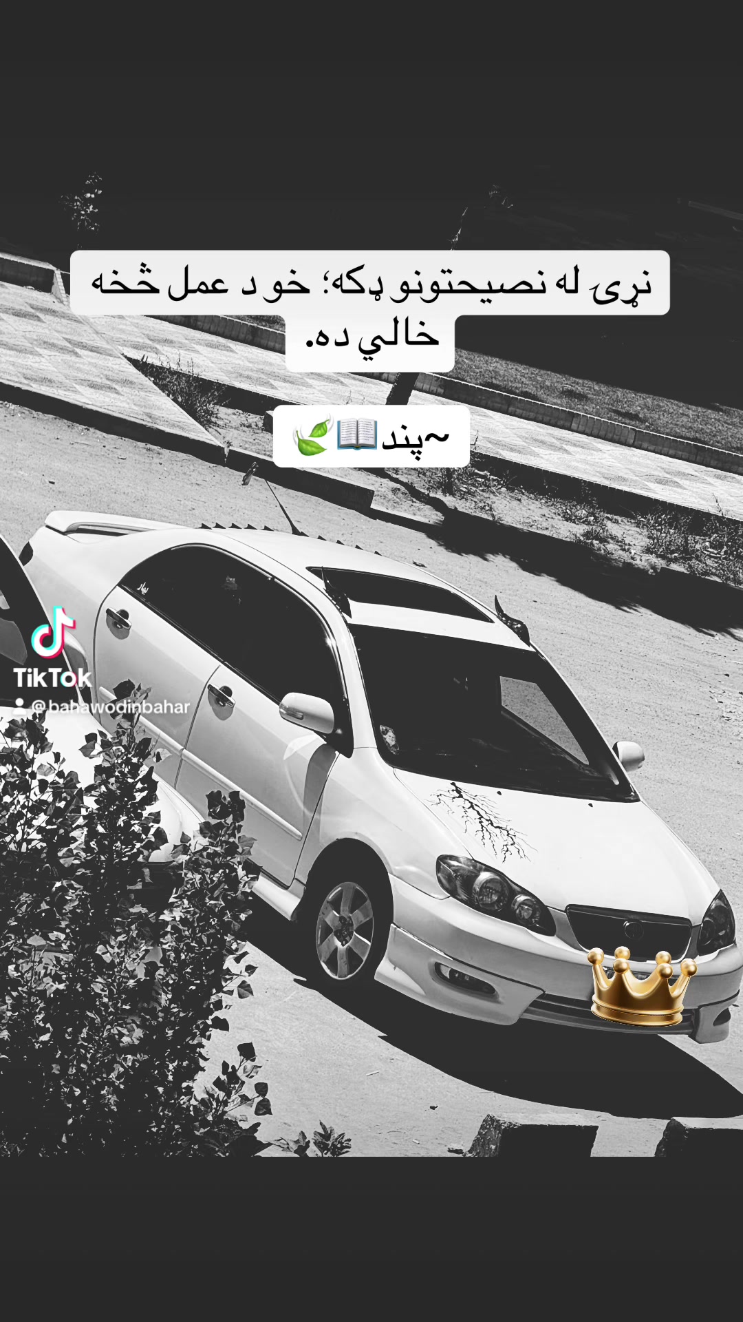 @Bahawodin Bahar