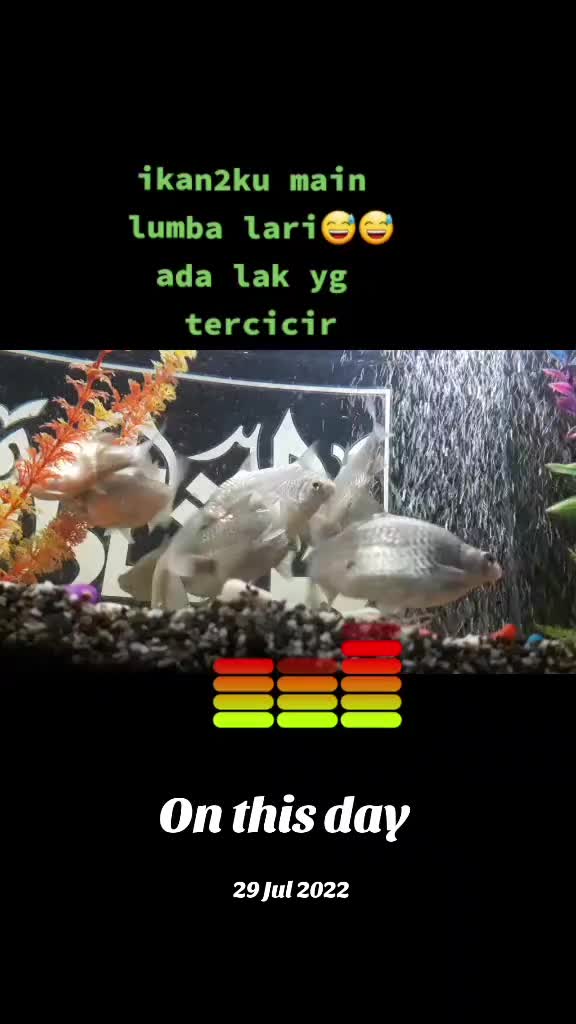 @Itzme-zue@24434⏳⌚