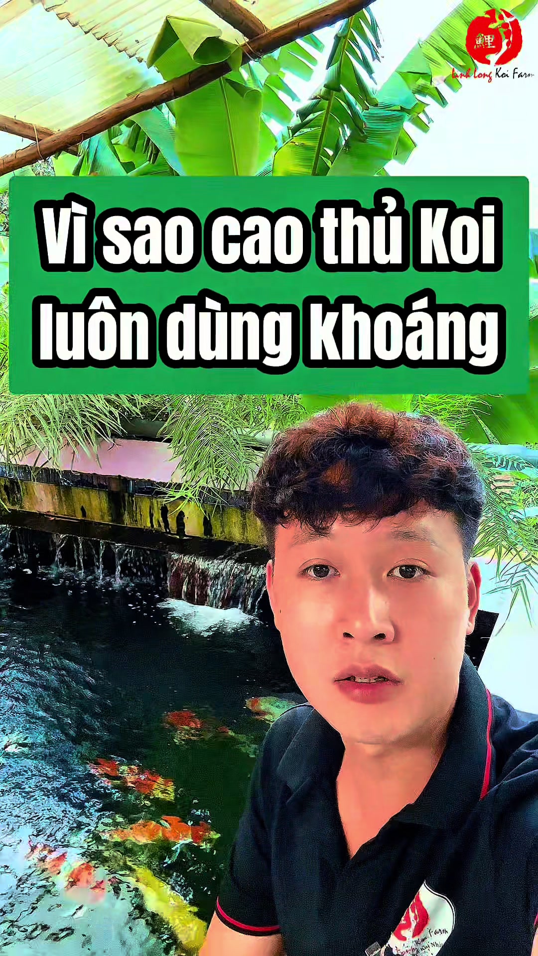 @Linh Long Koi Farm