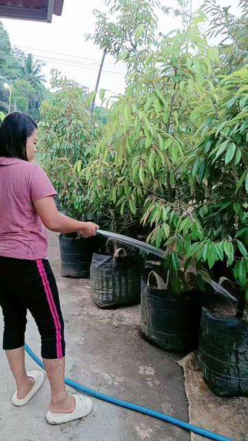 @Nur Durian