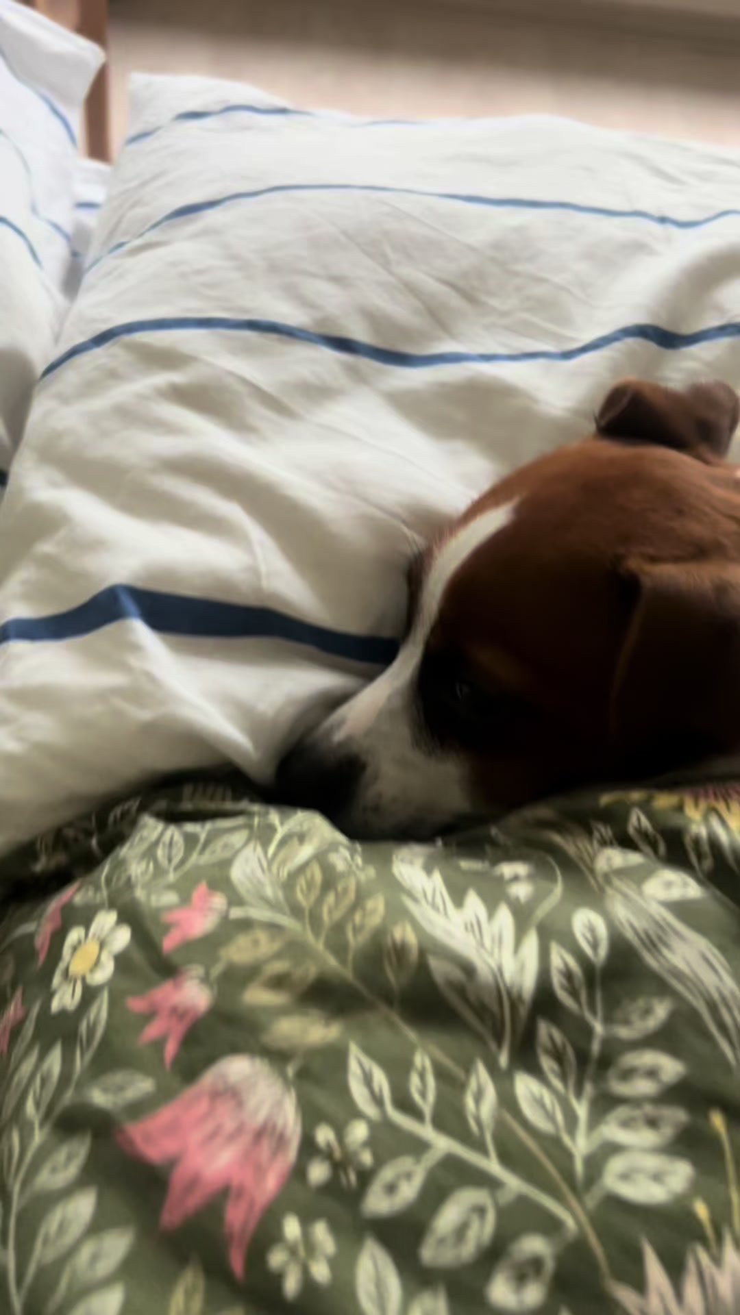 @Ольга психолог и Элли 🐶