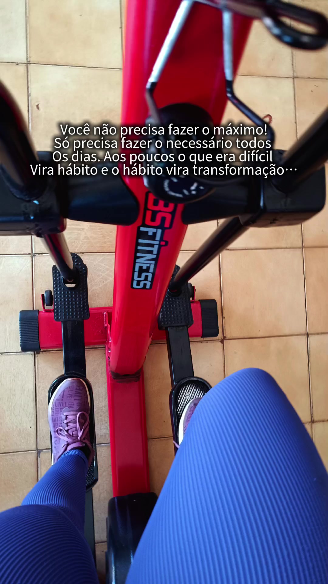 @aline vieira