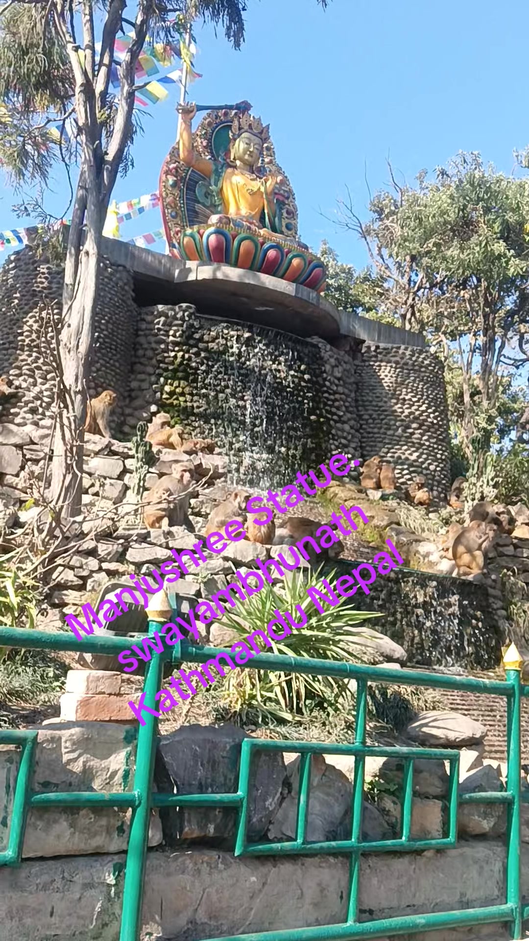 @Bina Lama