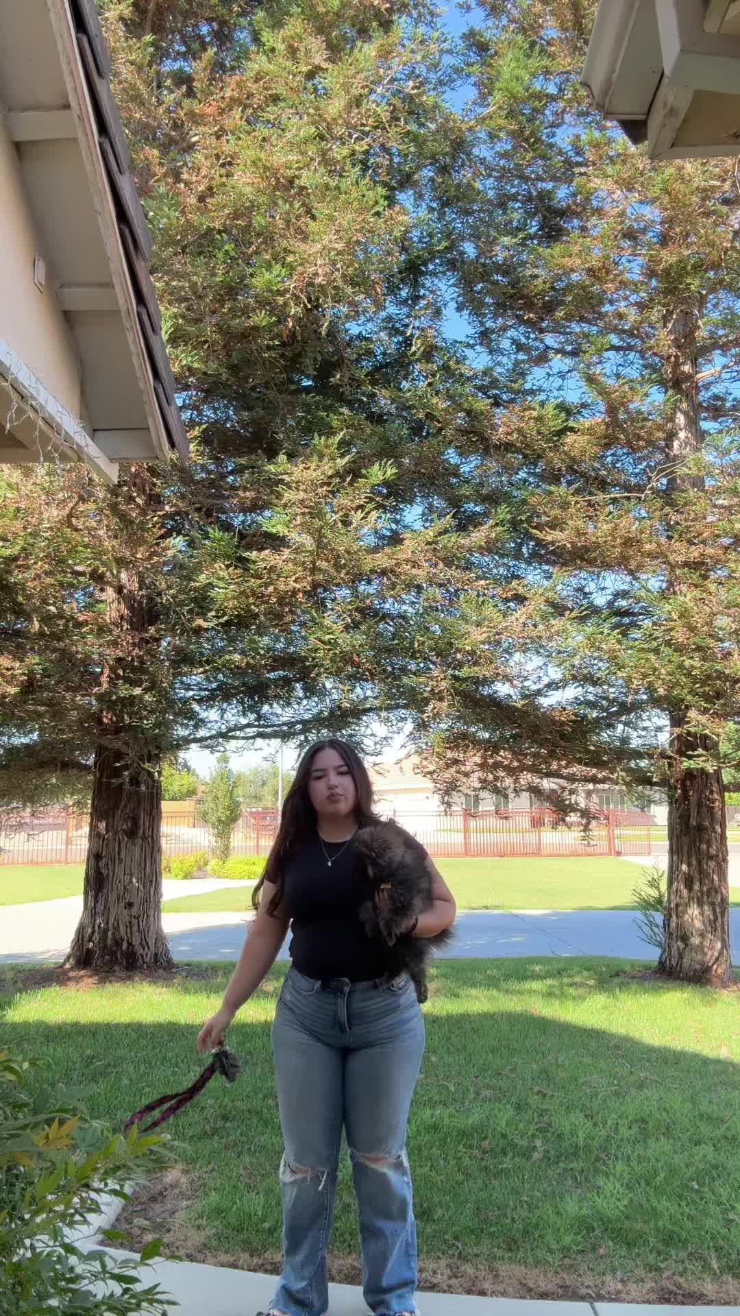 @Swagboobies69