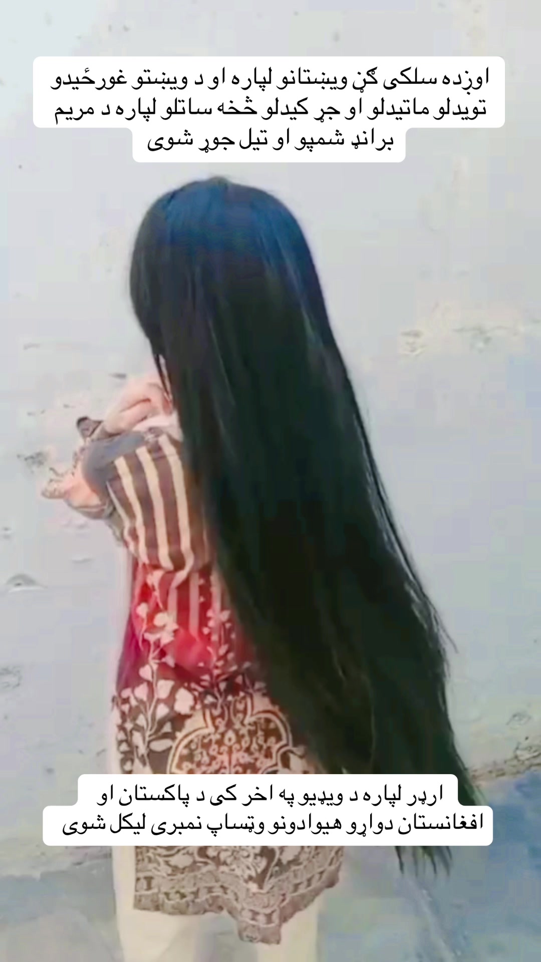 @maryam.brand24