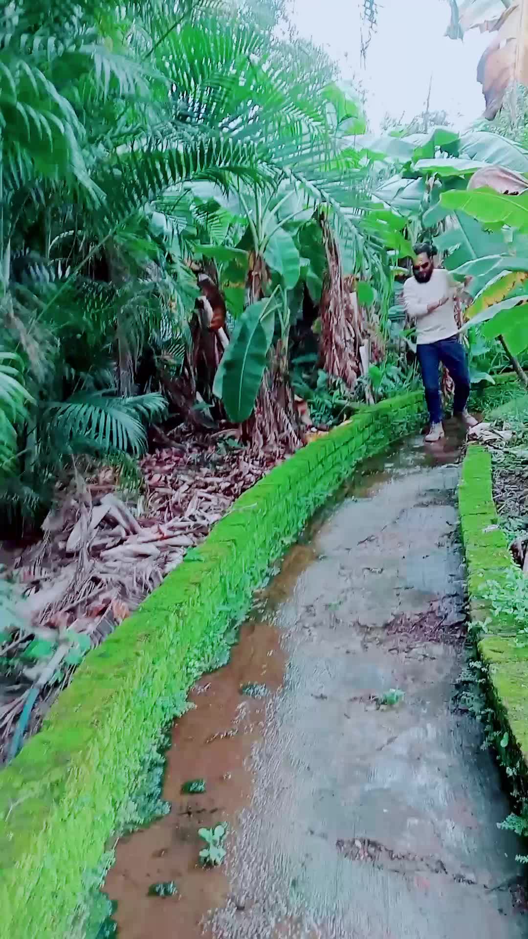 @C B Sarkar