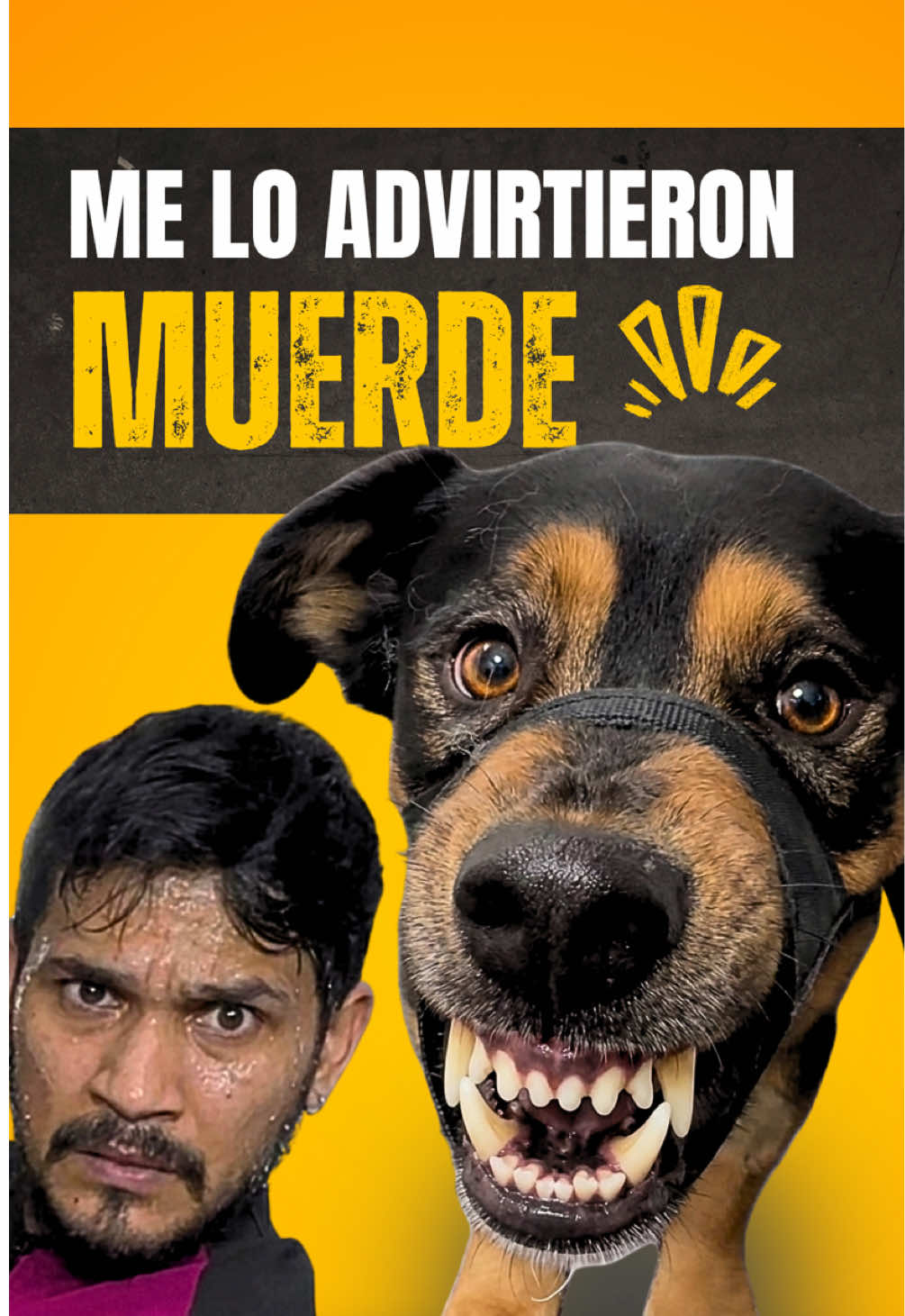 @VICTOR THE GROOMER