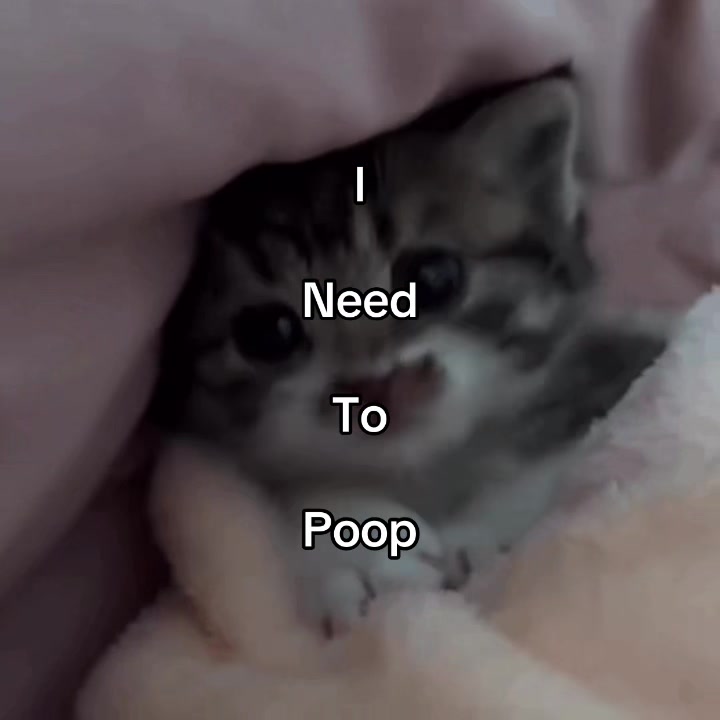 @g0on3r69