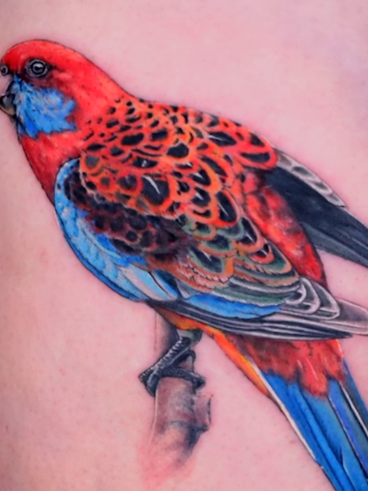@Ink Master