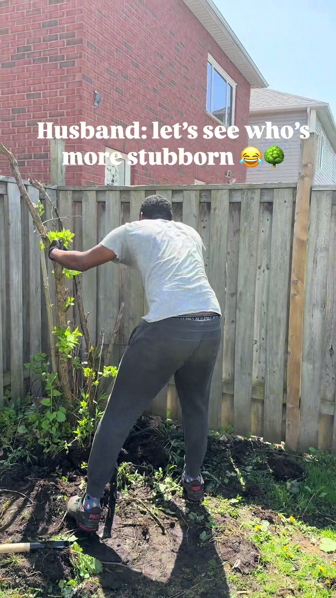 @Drene