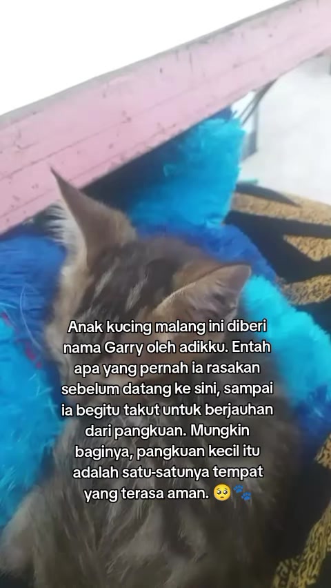 @Lina herlina