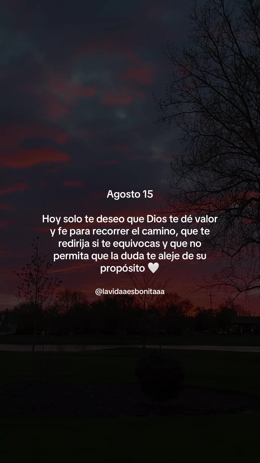 @vidabonita❤️🩹