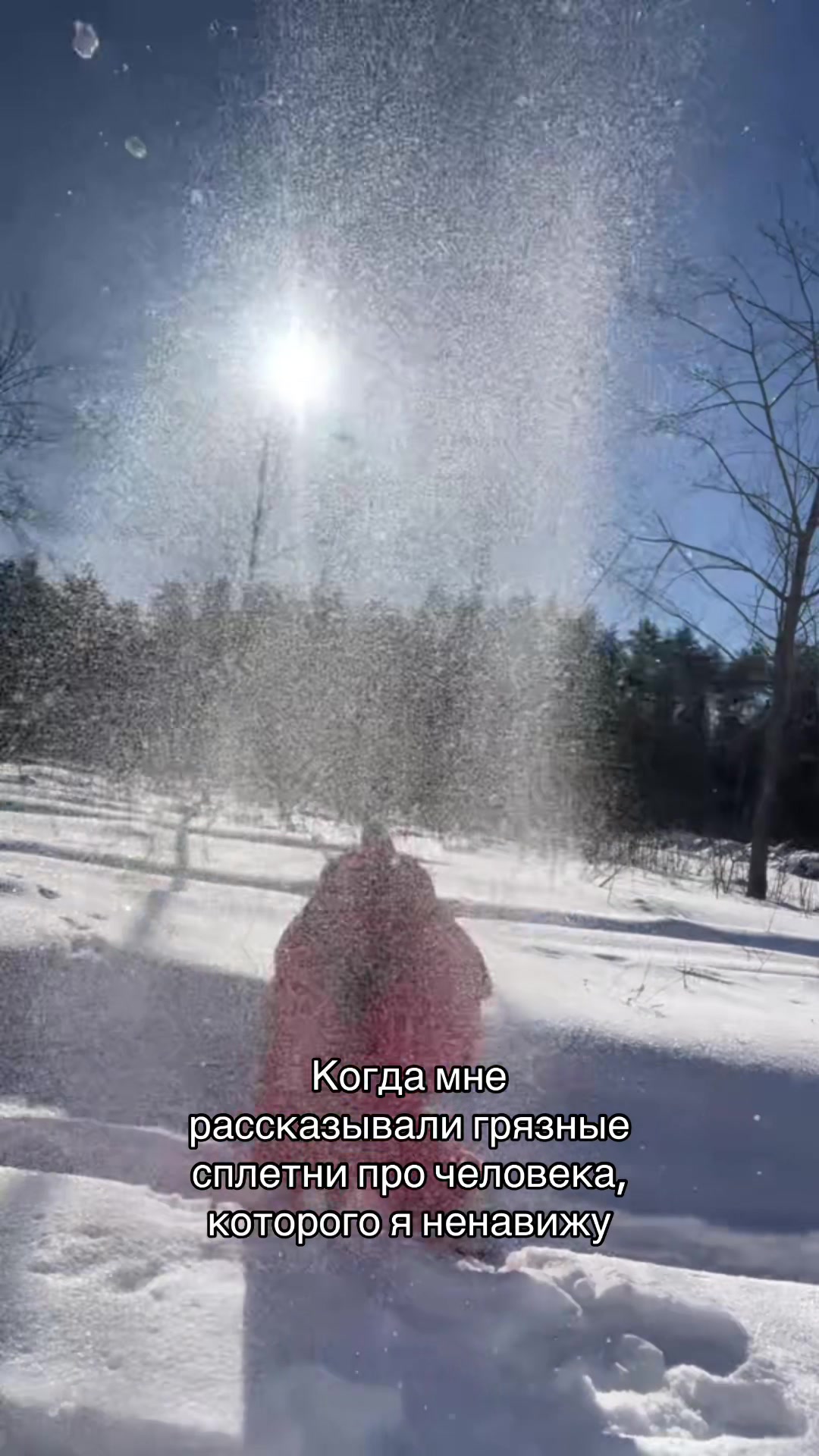 @Не Рина