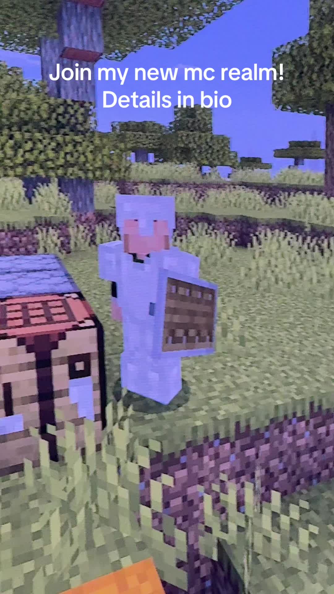 @VillagerSMP
