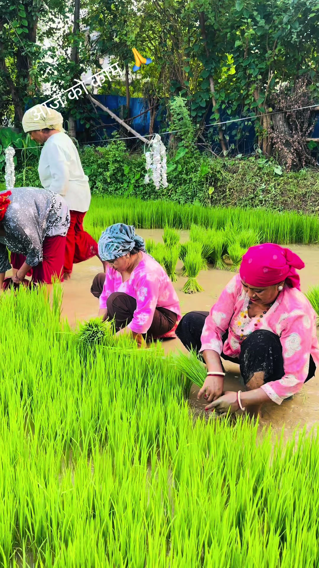 @Samjhana Chhetri